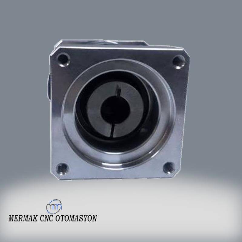 60 Gövde Boşluksuz 1/5 Planet Redüktörler - 3